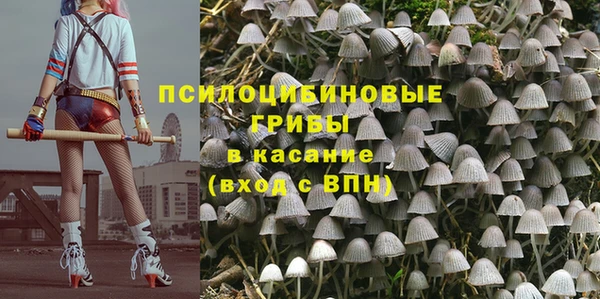 ГАЛЛЮЦИНОГЕННЫЕ ГРИБЫ Волоколамск